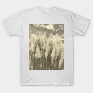 White Pampas Grass with dramatic sky above, nature sepia color photography T-Shirt